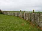 Caithness slate fence
